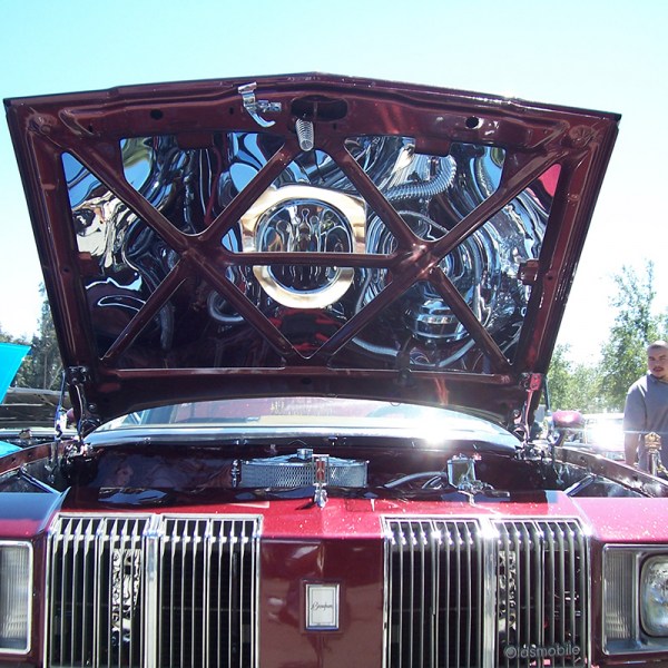 1978-80 OLDS CUTLASS HOOD